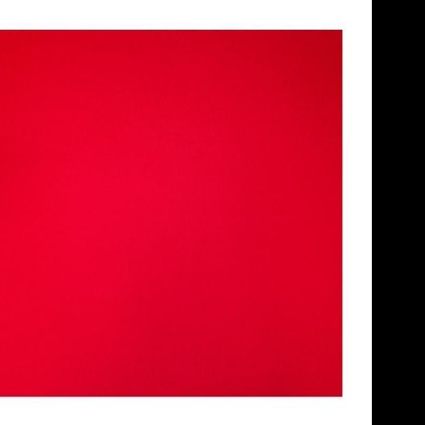 CARTULINA IRIS 2C 50X65CM 180G VINO PZA